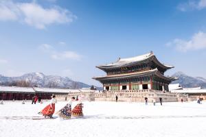 BUSAN - SEOUL - TRƯỢT TUYẾT TẾT 2027